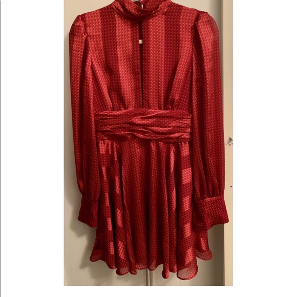 NEW Alexis dress! - Picture 3 of 8